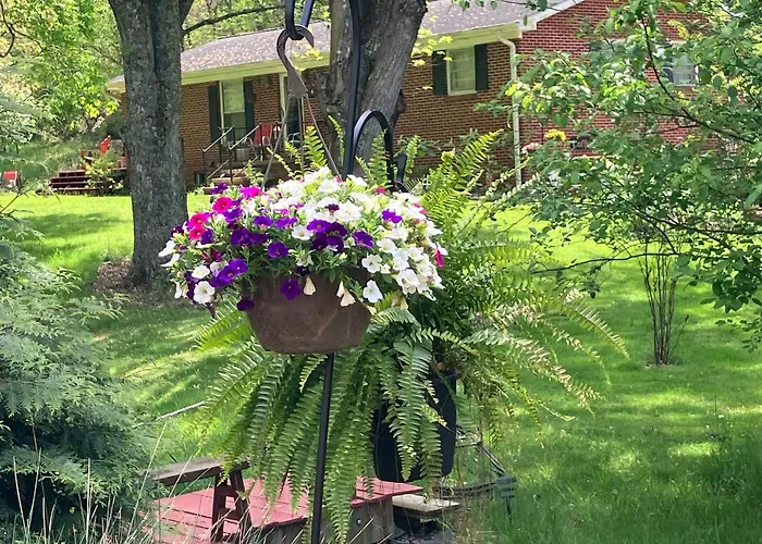 The Ashe Farm
